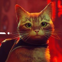 Stray: Gatos no escritório, realismo e a criação do “jogo de gatinho”