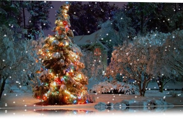 Download Christmas Serenity Screensaver | Baixaki Download Christmas Serenity Screensaver | Baixaki