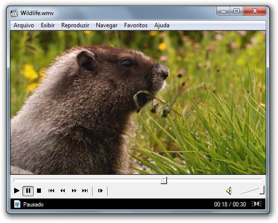 Media Player Classic (Home Cinema) 2.1.3 instal the new for windows