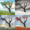 Logo Lonely Tree Live Wallpaper Ícone Logo Lonely Tree Live Wallpaper Ícone
