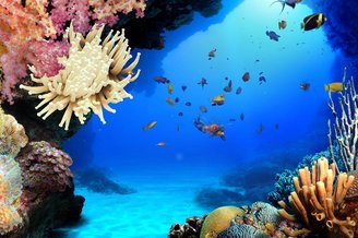 Download DigiFish Aqua Real 2 - Steam | Baixaki Download DigiFish Aqua Real 2 - Steam | Baixaki