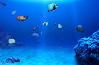 Download DigiFish Aqua Real 2 - Steam | Baixaki