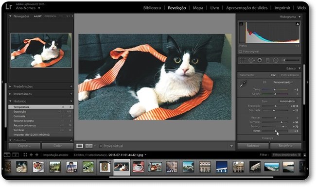 Imagem de um gatinho sendo editada no Adobe Photoshop Lightroom