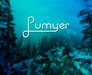 Lumyer – Photo Animation