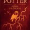 Logo Harry Potter e a Pedra Filosofal Ícone Logo Harry Potter e a Pedra Filosofal Ícone