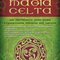 Logo O livro secreto da Magia Celta Ícone Logo O livro secreto da Magia Celta Ícone