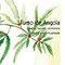 Logo Fumo de Angola Ícone Logo Fumo de Angola Ícone