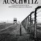Logo Depois de Auschwitz Ícone Logo Depois de Auschwitz Ícone