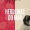 Logo Herdeiras do mar Ícone Logo Herdeiras do mar Ícone
