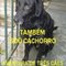 Logo Vira-Lata? Não! Também Sou Cachorro Ícone Logo Vira-Lata? Não! Também Sou Cachorro Ícone