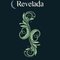 Logo Revelada Ícone Logo Revelada Ícone