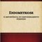 Logo Endometriose Ícone Logo Endometriose Ícone