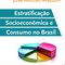 Logo Estratificação socioeconômica e consumo no Brasil Ícone Logo Estratificação socioeconômica e consumo no Brasil Ícone