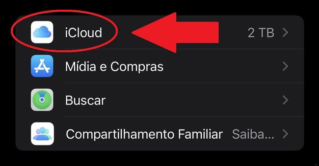 Toque em "iCloud" para acessar as informações de backup.