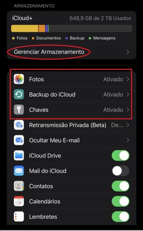 Antes de tocar em "Gerenciar Armazenamento", confira os apps que estão com o backup ativado.