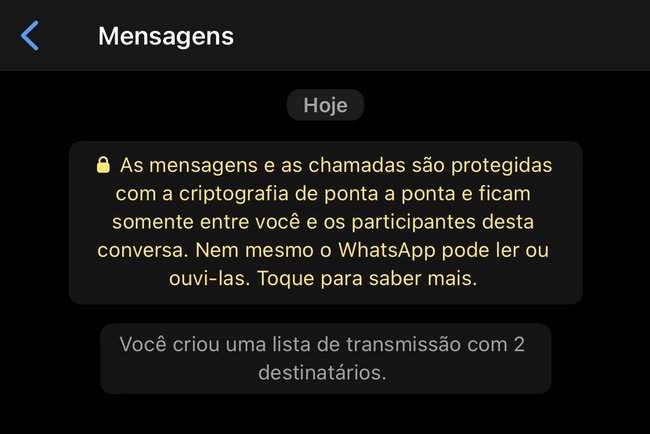 Depois de criar a sua lista, as mensagens podem ser enviadas como se estivesse conversando em um chat normal.