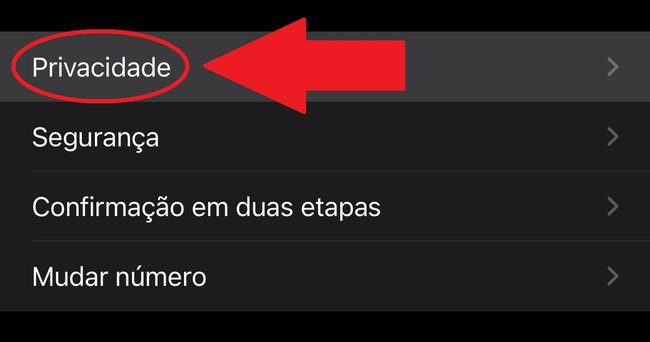 Toque em "Privacidade" para configurar o bloqueio de tela.