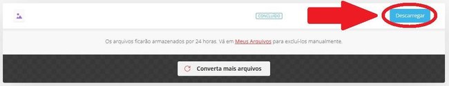 É preciso esperar a conversão para que a opção de download fique disponível. (Fonte: Baixaki/Reprodução)