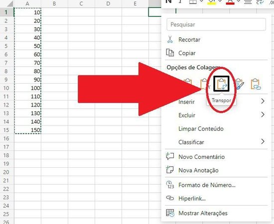 Aperte no ícone "Transpor" para que as células sejam coladas em uma outra organização