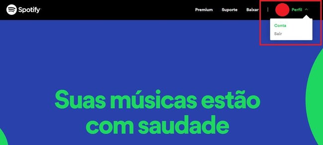 (Fonte: Spotify/Reprodução)